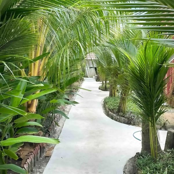 Palmtrees and nature in Hakuna Matata Hotel Gili Air