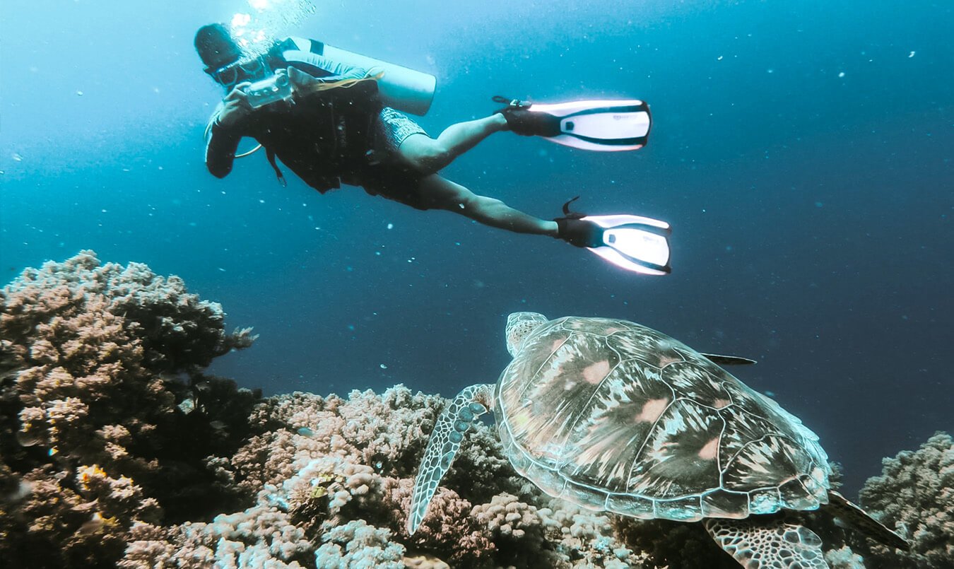 Scuba diving with turtle in Gili Air