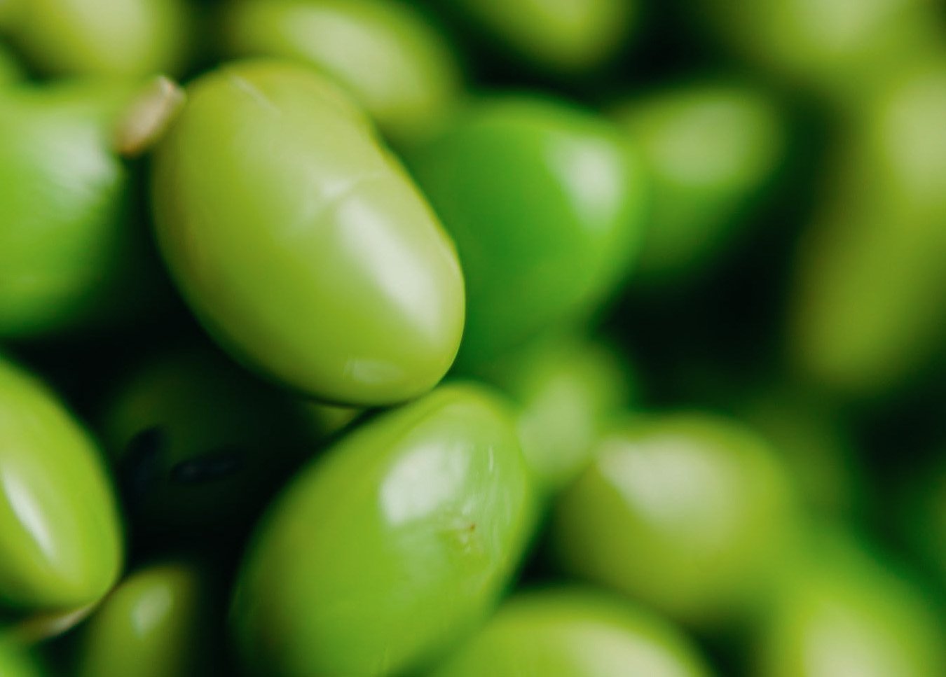 Sushi restaurant, edamame